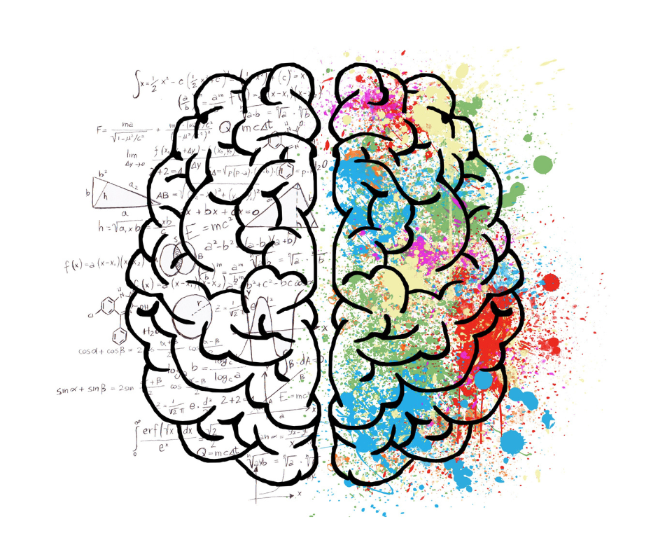 Illustration du module 1 : un cerveau, moitié équations, moitié couleurs.